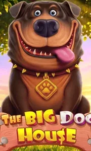 The Big Dog House